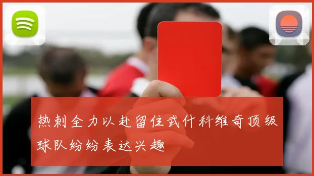 热刺全力以赴留住武什科维奇顶级球队纷纷表达兴趣
